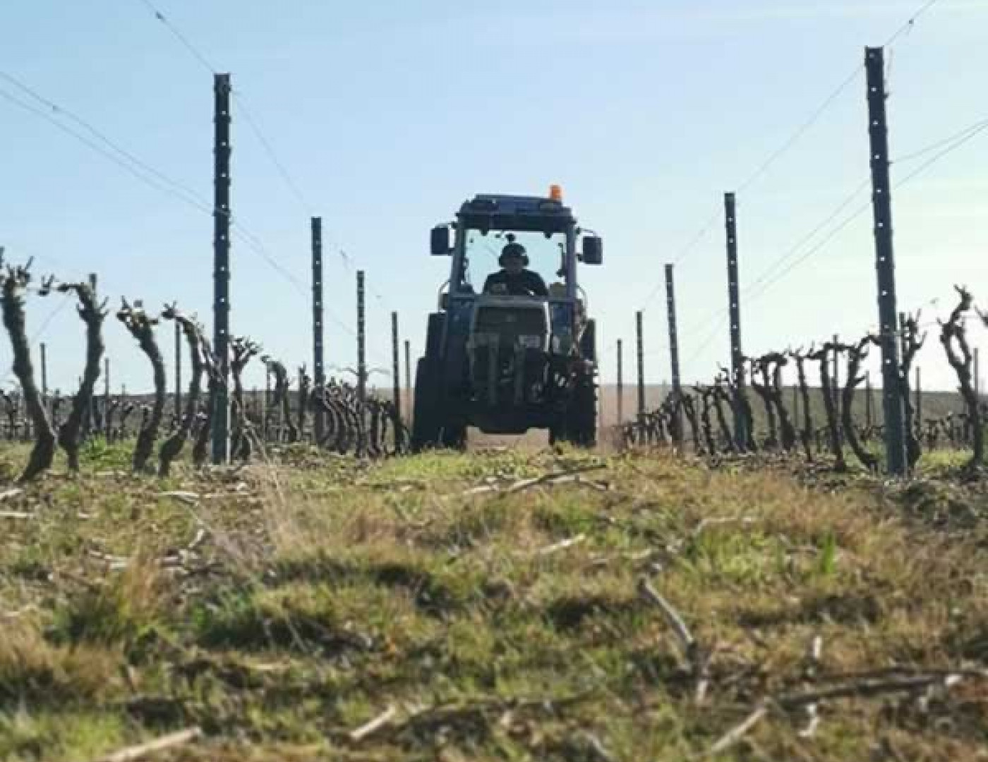 We Take Care of Our Soils