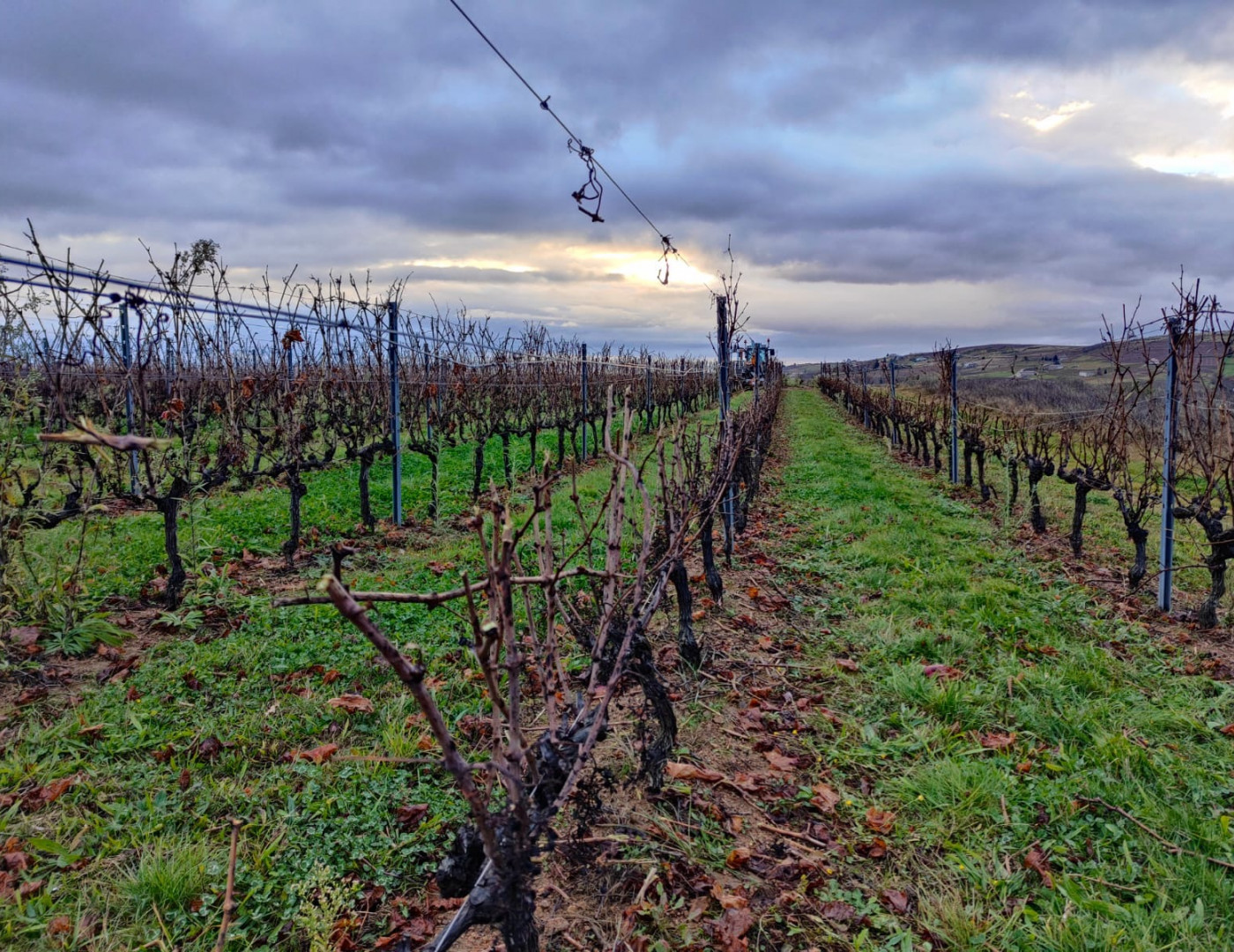 Pre-Pruning
