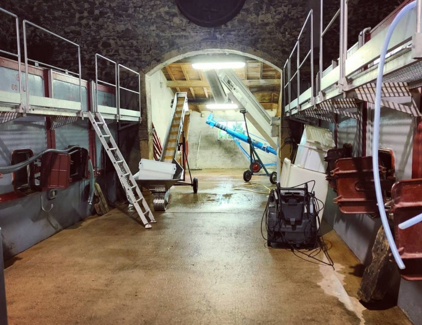 The Calm Before the Storm